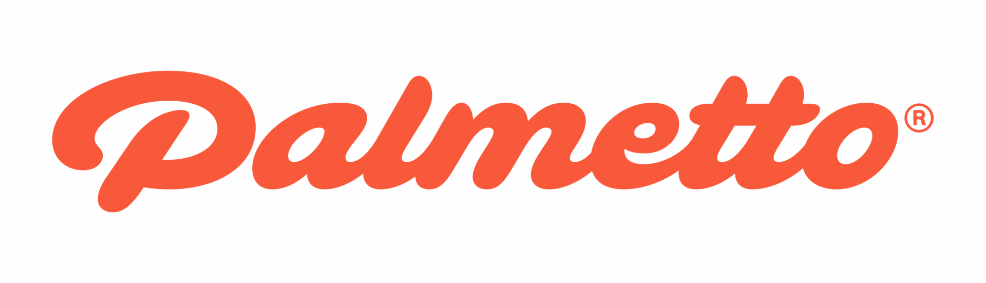 Palmetto_Logotype_Palmetto-75_RGB_57b83d3ee8eceaf7957ab928a44ea796